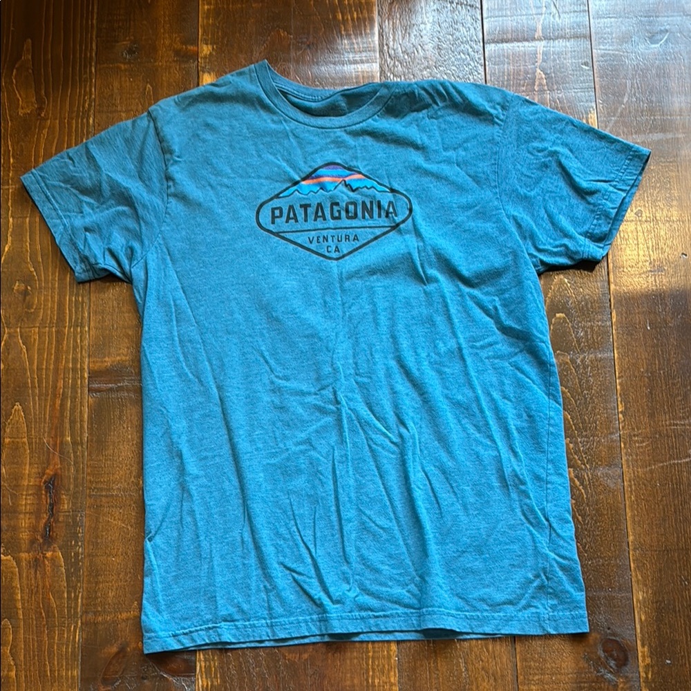 Patagonia Blue Graphic T-Shirt